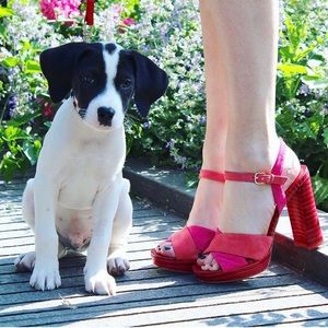 Pour La Victoire (PLV) pink chunky heels